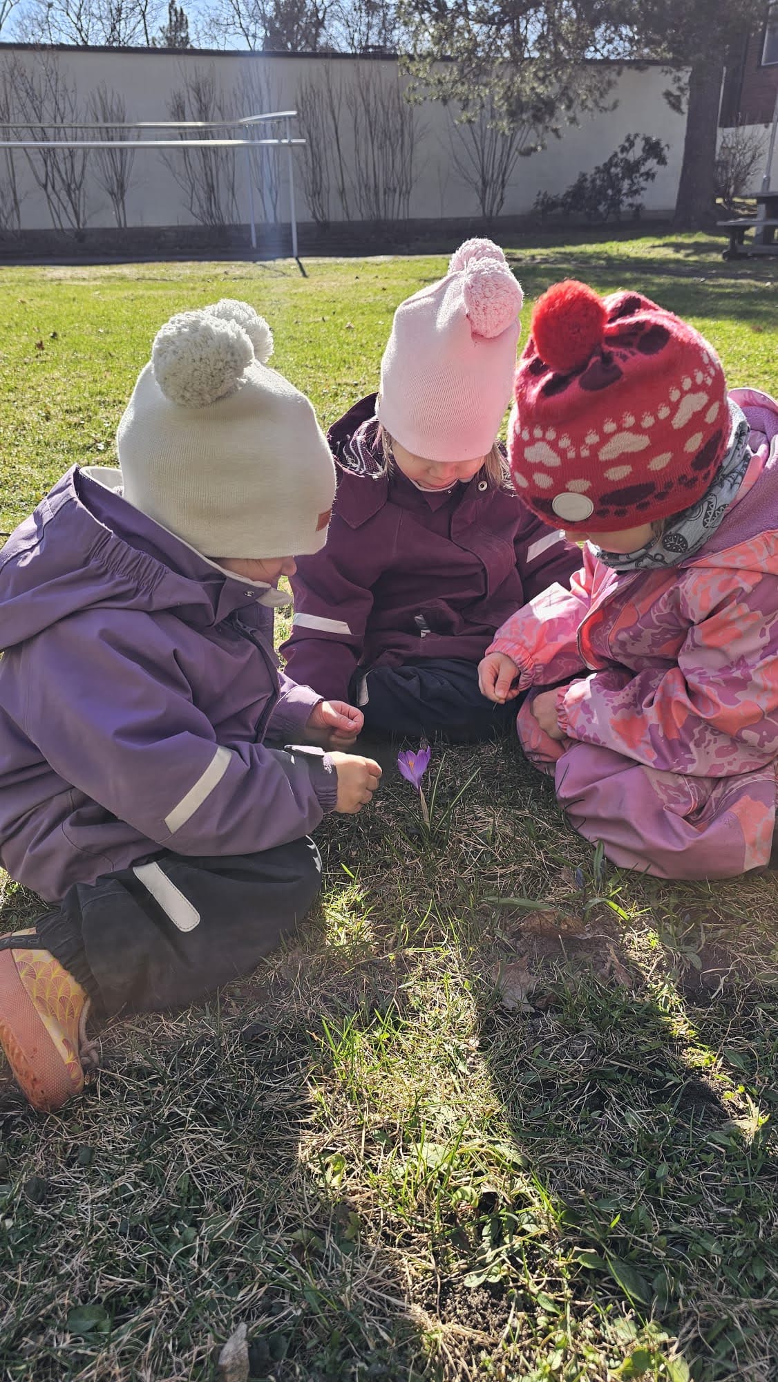 A limited number of children. The utmost attention.
